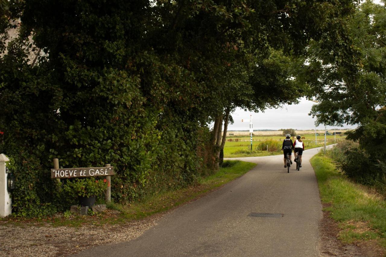 Hoeve Te Gast - Vakantieboerderij Groet Ngoại thất bức ảnh